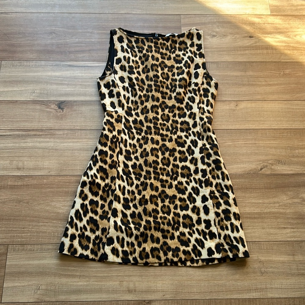 Zara Leopard Print Mini Dress